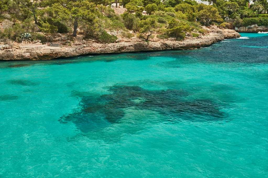 Hotel Barcel Ponent Playa Cala d'Or (Mallorca)